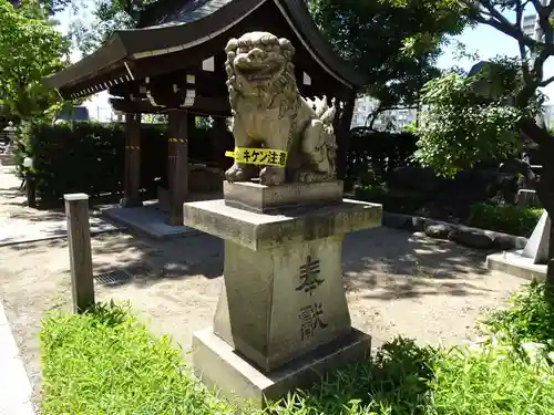 産土神社の狛犬