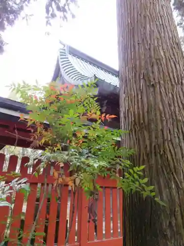 赤山禅院のその他建物