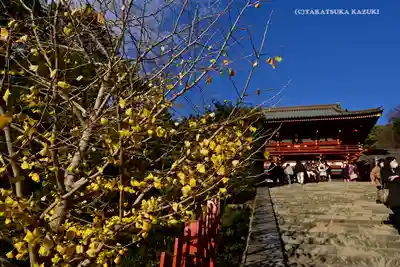 鶴岡八幡宮のその他建物