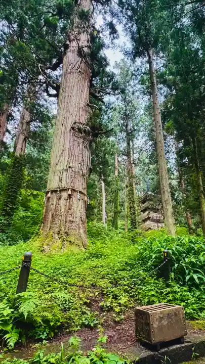 羽黒山五重塔(出羽三山神社)(山形県)