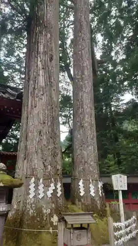 日光二荒山神社(栃木県)