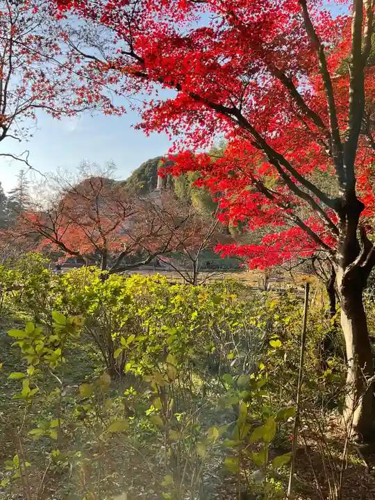 本土寺(千葉県)