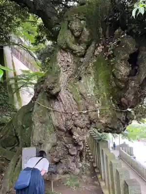 楽法寺（雨引観音）(茨城県)