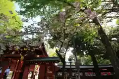 秩父神社(埼玉県)