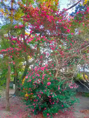 湯浅大宮 顯國神社(和歌山県)