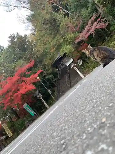 山梨縣護國神社(山梨県)