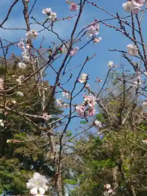 宗像神社(埼玉県)