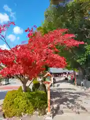 宝来山神社(和歌山県)