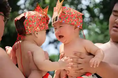 隠津島神社の体験その他