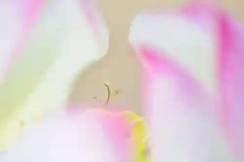 浄土寺(兵庫県)