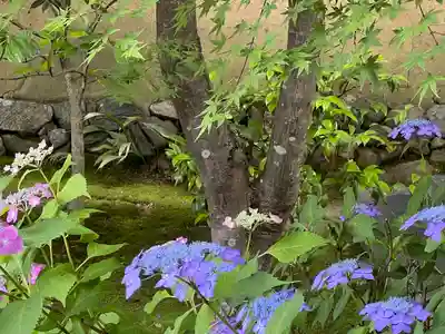 興臨院(京都府)