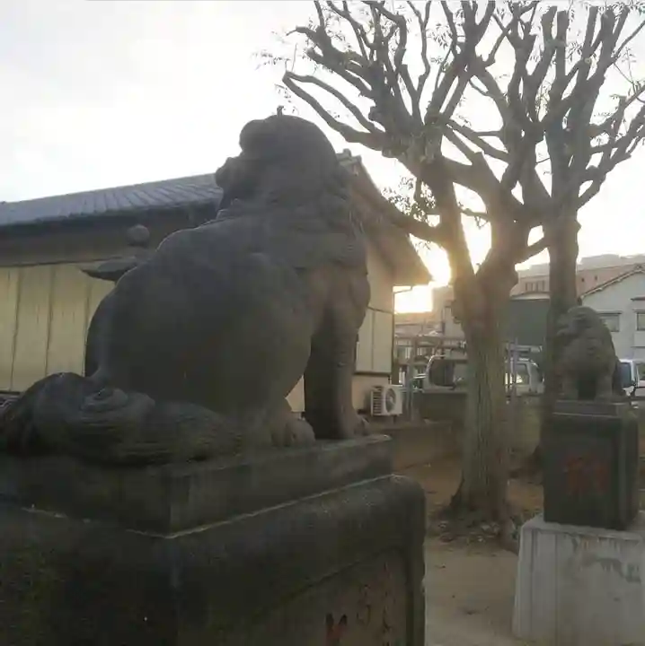 白髭神社の狛犬