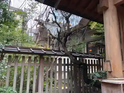 芝大神宮の本殿・本堂