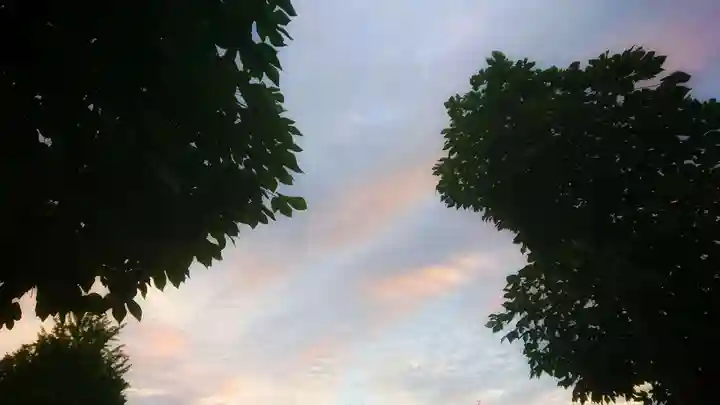 神明社(国府宮神明社)の自然