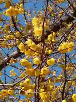 横浜 西方寺の自然