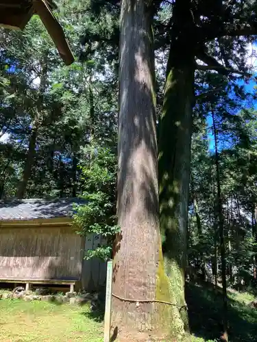 大跡部神社(岐阜県)