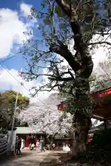 前原御嶽神社(千葉県)