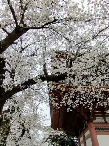 池上本門寺(東京都)