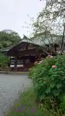 海蔵寺の本殿