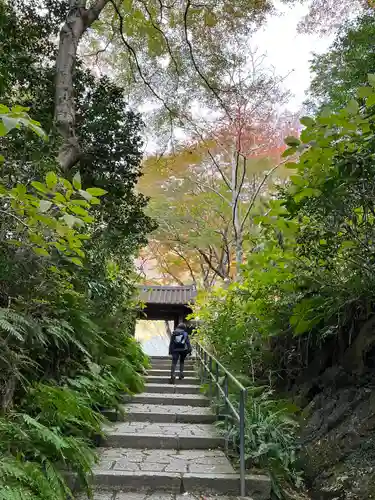 瑞泉寺(神奈川県)