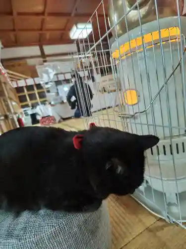 高司神社〜むすびの神の鎮まる社〜(福島県)