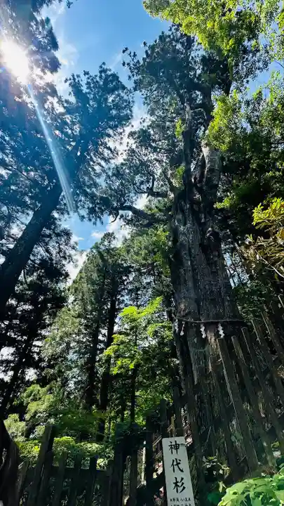 玉置神社(奈良県)