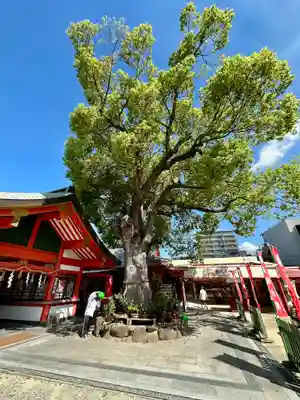 足の神様 服部天神宮(大阪府)