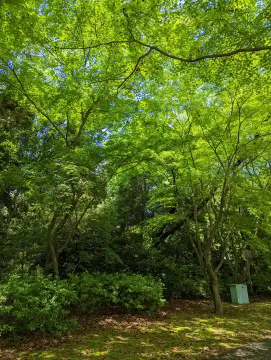 向日神社(京都府)