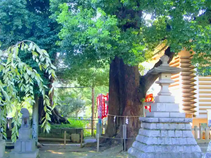 諏訪神社のその他建物