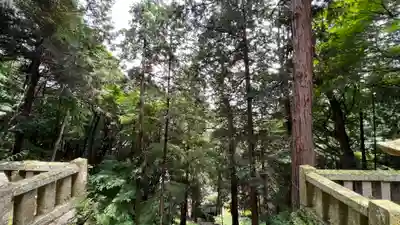 守山八幡宮(静岡県)