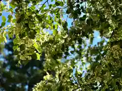 武水別神社(長野県)