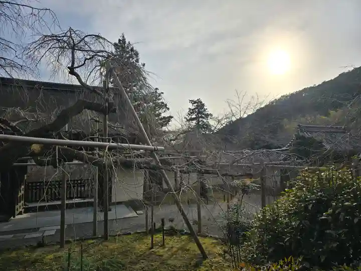 毘沙門堂門跡(京都府)