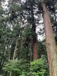 大宮温泉神社(栃木県)(2023年06月24日(土) 06時22分30秒投稿)