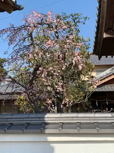 三田天満宮の自然