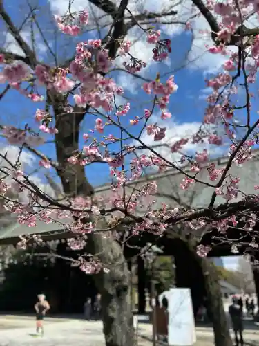 靖國神社(東京都)