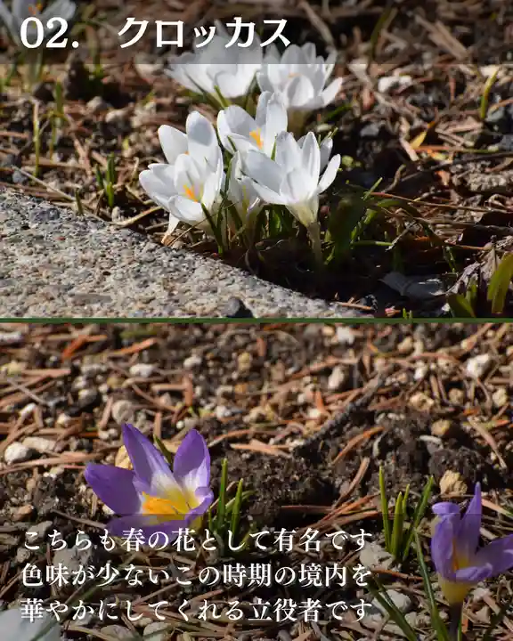 宝光寺(北海道)