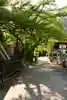 妙義神社(群馬県)