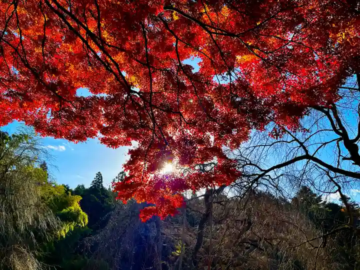 栄存神社(宮城県)
