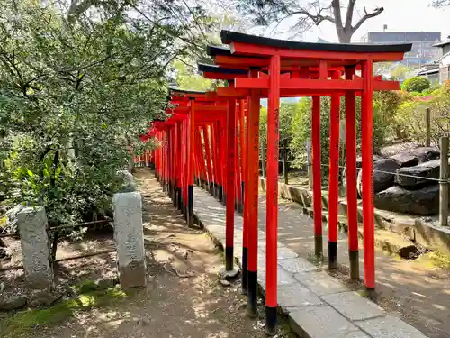 乙女稲荷神社の鳥居