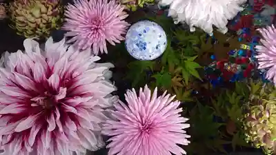 蛇窪神社(東京都)