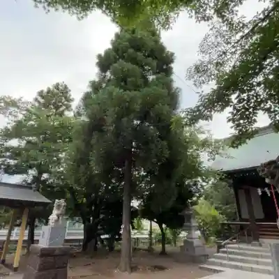 大沼神社(神奈川県)