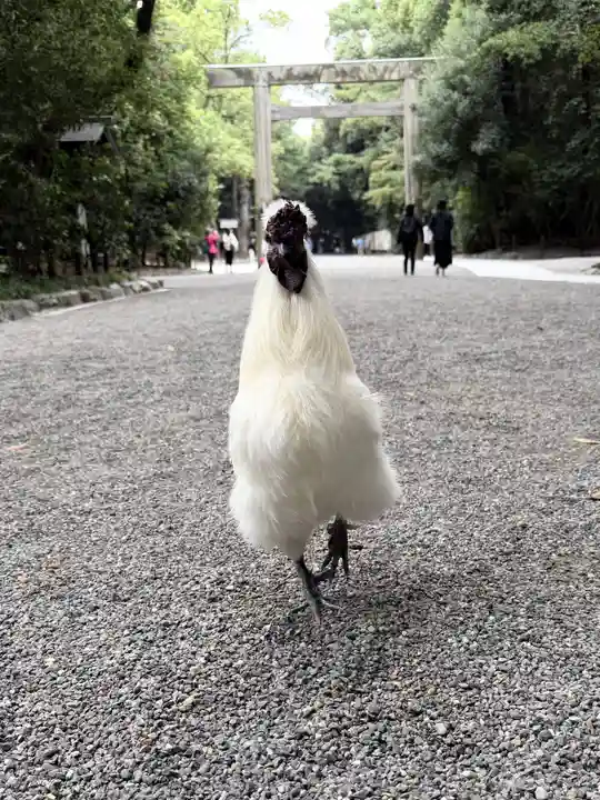 熱田神宮(愛知県)