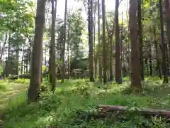 八幡神社の自然