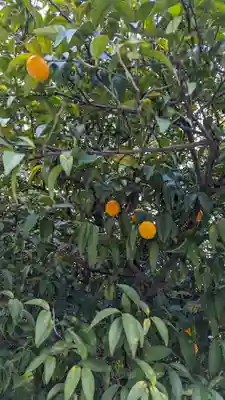 平野神社(京都府)
