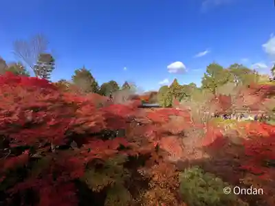 東福禅寺(東福寺)(京都府)