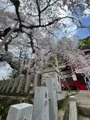 小川諏訪神社の自然