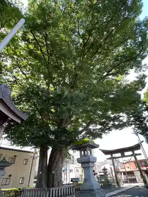 住吉神社(岩手県)