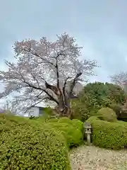 楽水亭　大龍寺(秋田県)