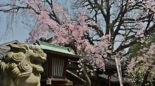 武信稲荷神社の狛犬