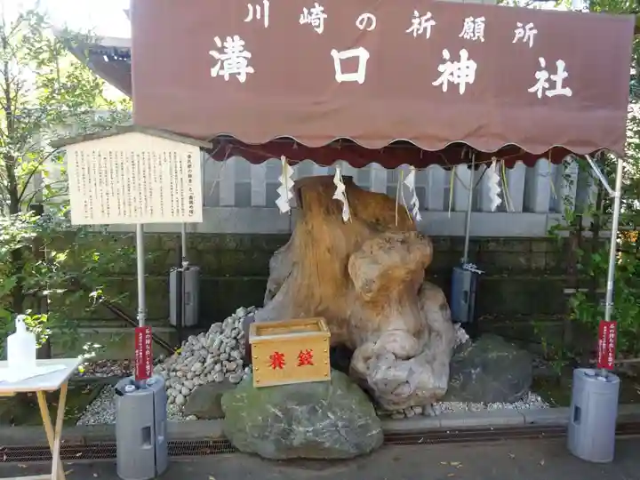 溝口神社のその他建物